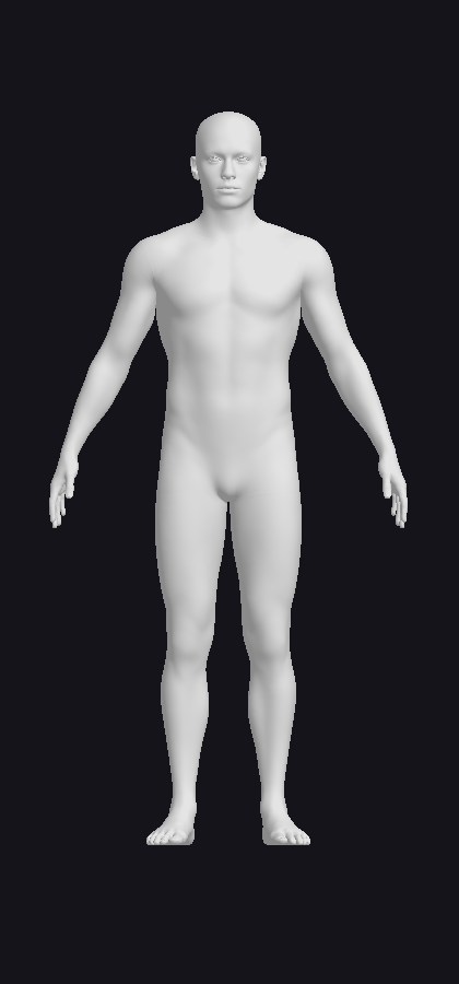 Male body model